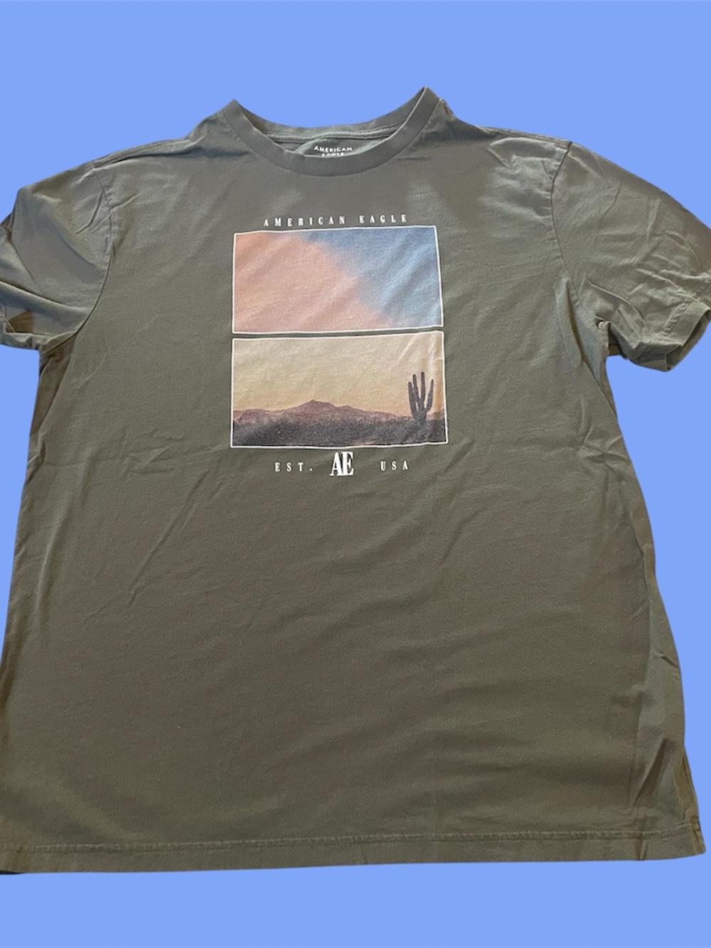 American Eagle Outfitters Olive Graphic Tee Mens Medium
